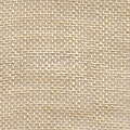 HT0038 var.4